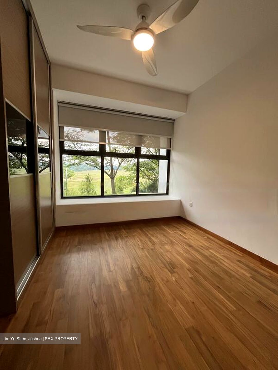 Holland Link (D10), Terrace #467348081